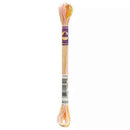DMC 6-Strand Color Variations - Cupcake, 417F 4095