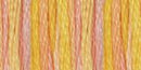 DMC 6-Strand Color Variations - Summer Breeze, 417F 4100