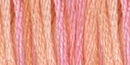 DMC 6-Strand Color Variations - Sunrise, 417F 4110