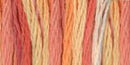 DMC 6-Strand Color Variations - Tropical Sunset, 417F 4120