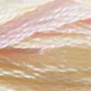 DMC 6-Strand Color Variations - Birthday Cake, 417F 4160