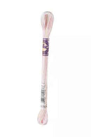 DMC 6-Strand Color Variations - Sugar Mice, 417F 4170