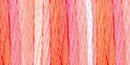 DMC 6-Strand Color Variations - Ocean Coral, 417F 4190