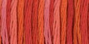 DMC 6-Strand Color Variations - Wild Fire, 417F 4200