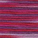 DMC 6-Strand Color Variations - Azalea, 417F 4211