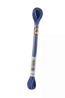 DMC 6-Strand Color Variations - Starry Night, 417F 4240