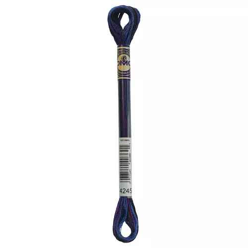 DMC 6-Strand Color Variations - Mystical Midnight, 417F 4245