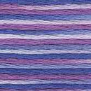DMC 6-Strand Color Variations - Berry Parfait, 417F 4250