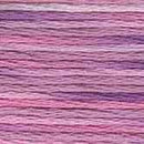 DMC 6-Strand Color Variations - Enchanted, 417F 4260