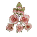 Prima Marketing Home Grown Flowers - Garden Rose Blush, 683672