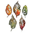 Sizzix Thinlits Die Set  - Leaf Fragments, 665559, by: Tim Holtz