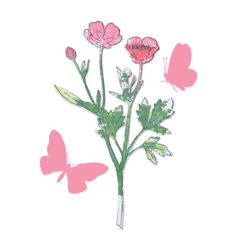 49 & Market - Stamp w/Framelits - Painted Pencil Botanical, 666635 by Sizzix