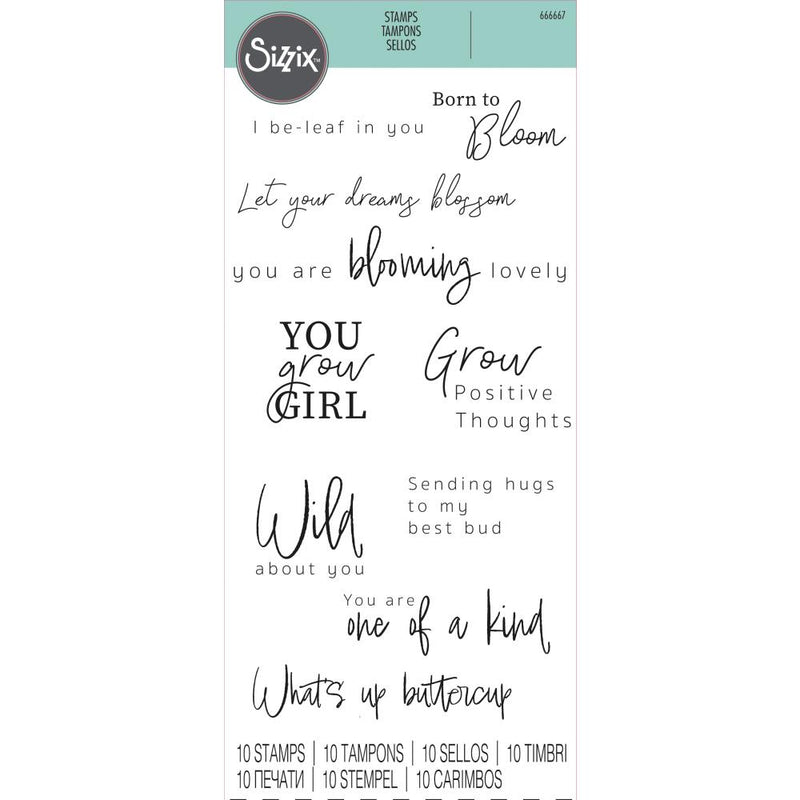 Sizzix Clear Stamps Set 10PK – Born to Bloom, 666667