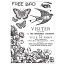 Sizzix Studio -  Clear Stamp & Stencil Set - The Visitor, 666758 by Cat Kerr