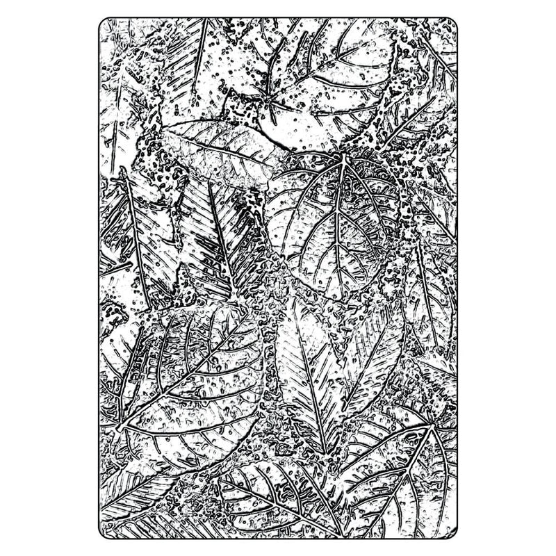 On order - Sizzix 3-D Texture Fades Embossing Folder - Foliage Large/A5, 666916 by Tim Holtz