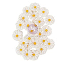 Prima Marketing Flowers White Meadow - Among the Wildflowers, 682439 The 3 Girls Tale