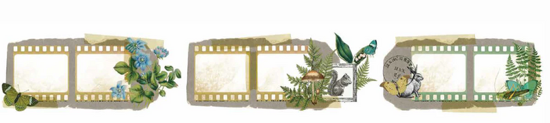 Arden Creative Studio Hidden Creek Filmstrip Kiss-Cut PET Tape, ACSCT0001