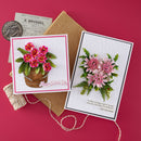Spellbinders Bundle - Serenity Garden Die Bundle, BD-1052 Susan