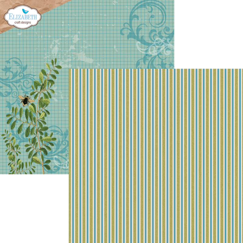 Elizabeth Craft Designs 12x12 Paper Pack- Harmonious Hodgepodge, C024