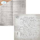 Elizabeth Craft Designs 12x12 Paper Pack - Backgrounds Volume 5, C044