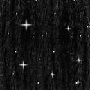 DMC 6-Strand Etoile Embroidery Floss 8.7yd - Metallic Black, C310