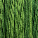 Colour and Cotton Floss - 8yd Skein - Emerald, CAC-100