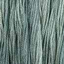 Colour and Cotton Floss - 8yd Skein - Spring Moss, CAC-313