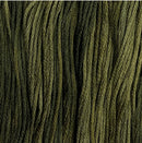 Colour and Cotton Floss - 8yd Skein - Laurel Wreath, CAC-444