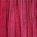 Colour and Cotton Floss - 8yd Skein - Winterberry, CAC-451