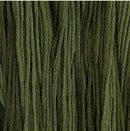 Colour and Cotton Floss - 8yd Skein - Tree Lot, CAC-464