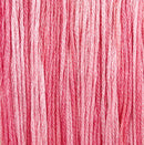 Colour and Cotton Floss - 8yd Skein - Water Lily, CAC-522