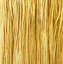 Colour and Cotton Floss - 8yd Skein - Saffron, CAC-613