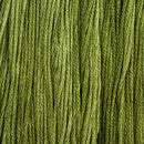 Colour and Cotton Floss - 8yd Skein - Fritz, CAC-639