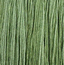 Colour and Cotton Floss - 8yd Skein - Aloe Vera, CAC-731