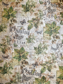 Ciao Bella Deluxe Cabinet Of Curiosities Paper - Pearl-Copper A4 5pc, CBD019