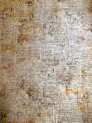 Ciao Bella Deluxe Cabinet Of Curiosities Paper - Pearl-Copper A4 5pc, CBD019