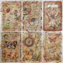 Ciao Bella 6x6 Deluxe Cabinet of Curiosities Paper - Pearl - Copper, CBDQ019