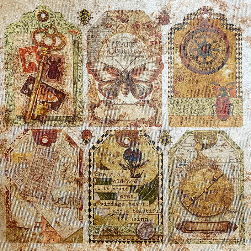 Ciao Bella 6x6 Deluxe Cabinet of Curiosities Paper - Pearl - Copper, CBDQ019