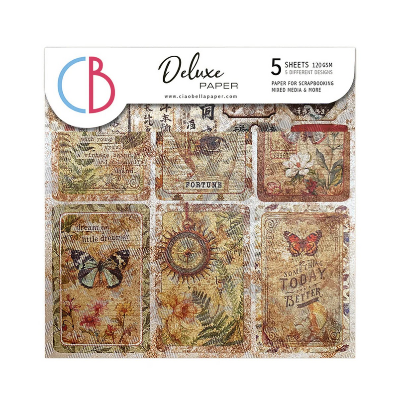 Ciao Bella 6x6 Deluxe Cabinet of Curiosities Paper - Pearl - Copper, CBDQ019