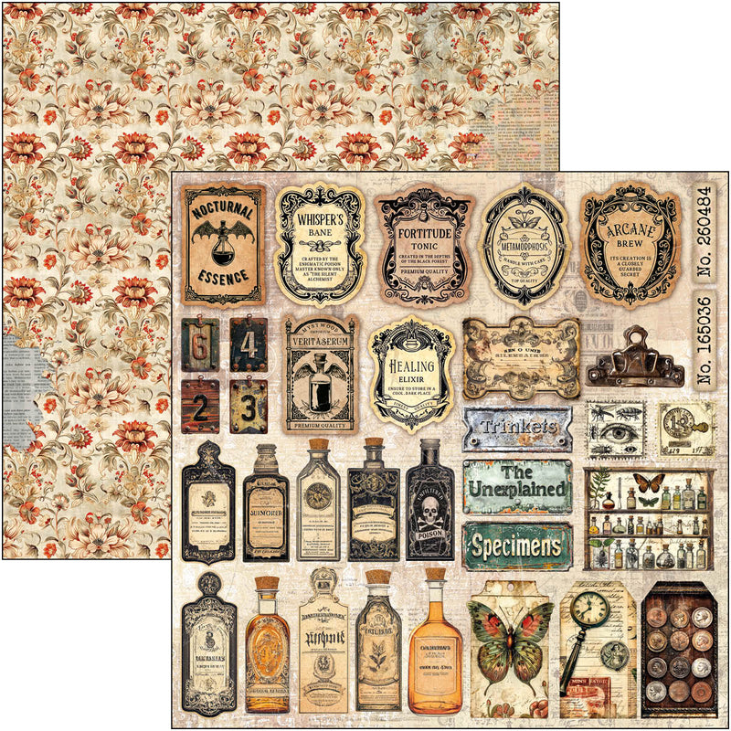 Ciao Bella 8x8 Paper Pad 12Pc - Cabinet of Curiosities, CBH085