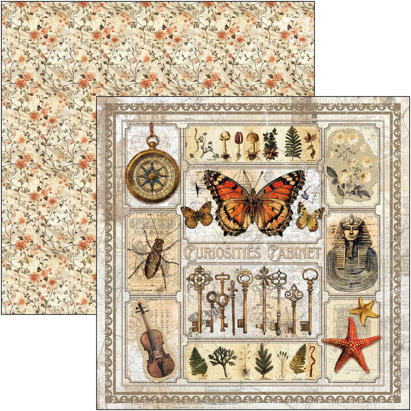 Coming Soon - Ciao Bella 12x12 Paper Pad 12Pc - Cabinet of Curiosities, CBPM085