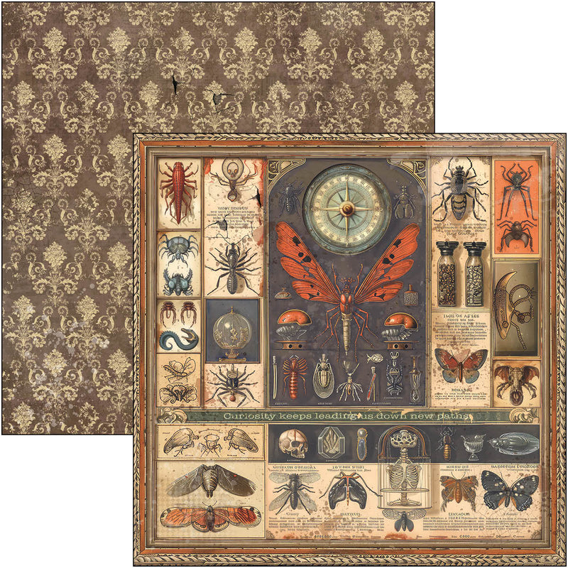 Coming Soon - Ciao Bella 12x12 Paper Pad 12Pc - Cabinet of Curiosities, CBPM085