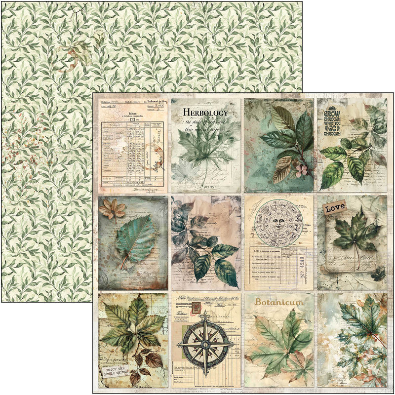 Coming Soon - Ciao Bella 12x12 Paper Pad 12Pc - Cabinet of Curiosities, CBPM085
