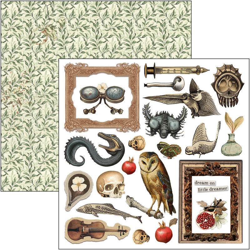 Ciao Bella 6x6 Fussy Cut Pad 24Pc - Cabinet of Curiosities, CBQE085
