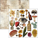 Ciao Bella 6x6 Fussy Cut Pad 24Pc - Cabinet of Curiosities, CBQE085