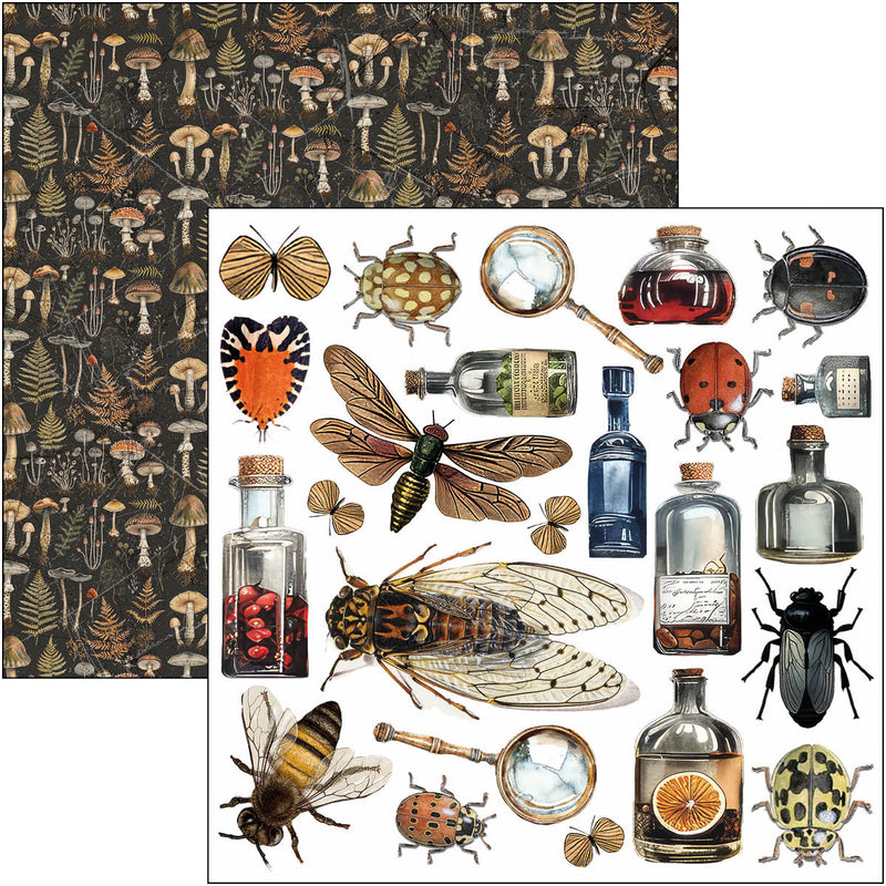 Ciao Bella 6x6 Fussy Cut Pad 24Pc - Cabinet of Curiosities, CBQE085