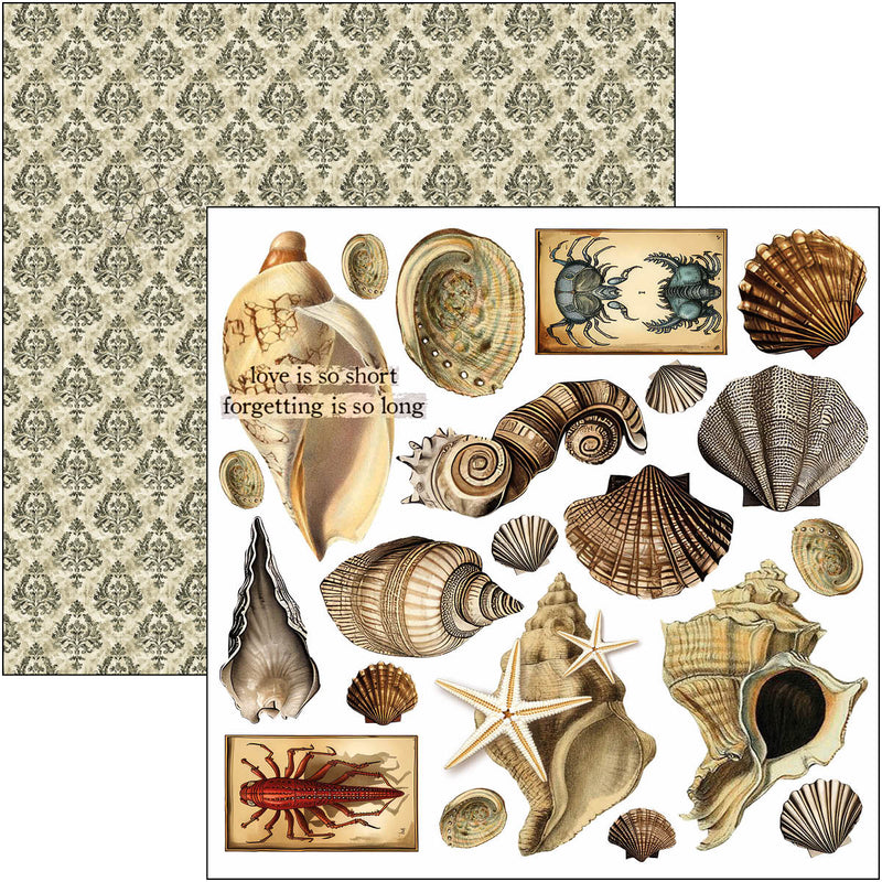 Ciao Bella 6x6 Fussy Cut Pad 24Pc - Cabinet of Curiosities, CBQE085