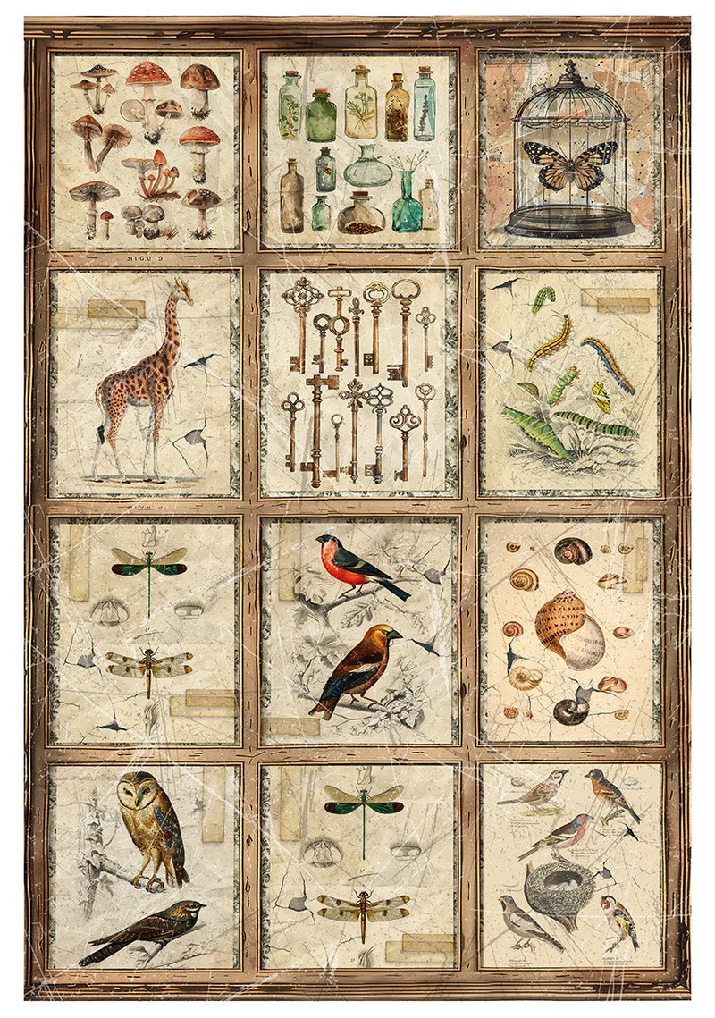 Ciao Bella A4 Rice Papers 4pc - Cabinet of Curiosities - Mixed, CBRA001