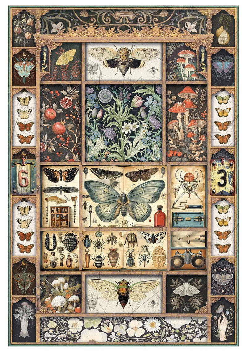 Ciao Bella A4 Rice Papers 4pc - Cabinet of Curiosities - Mixed, CBRA001
