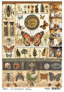 Ciao Bella A4 Rice Papers 5pc - Science, CBRP536